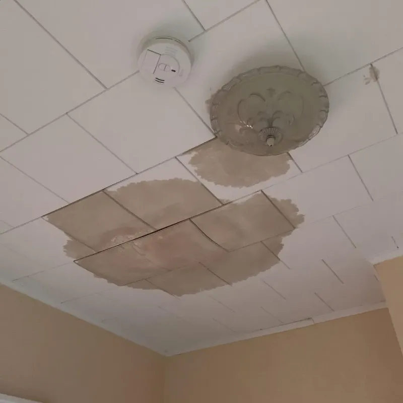 Ceiling Water Damage Repair in Marceline, MO
