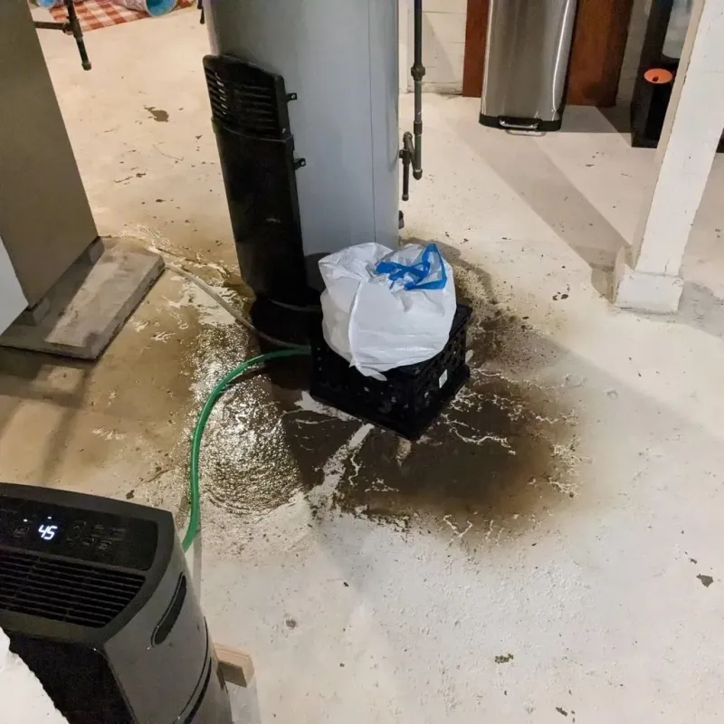 Sewage Backup Cleanup Service in Marceline, MO